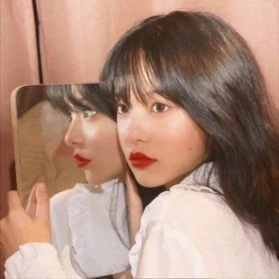 花豹王国